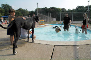 dog6.jpg